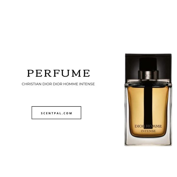 Christian Dior Dior Homme Intense