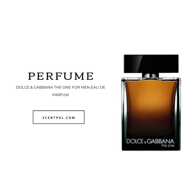 Dolce & Gabbana The One for Men Eau de Parfum