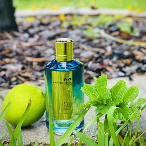 Mancera Aoud Lemon Mint