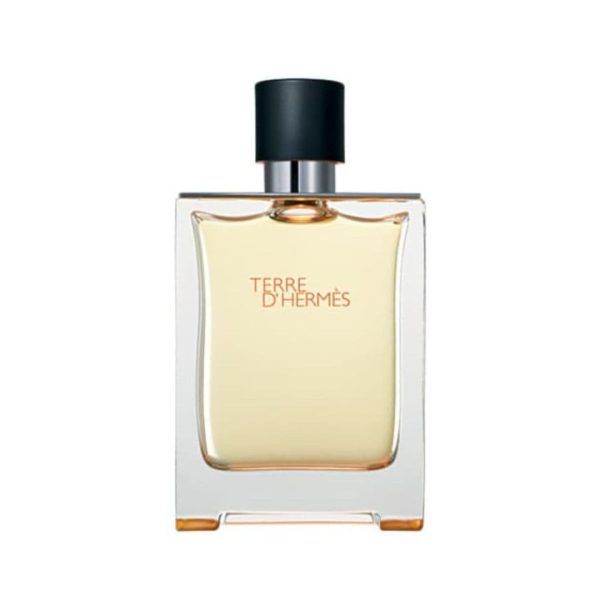 Terre d'Hermes For Men