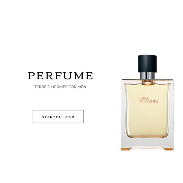 Terre d'Hermes For Men