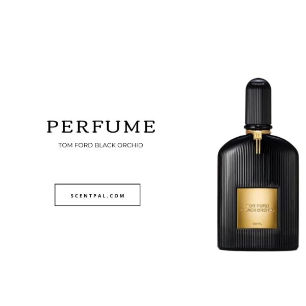 Tom Ford Black Orchid