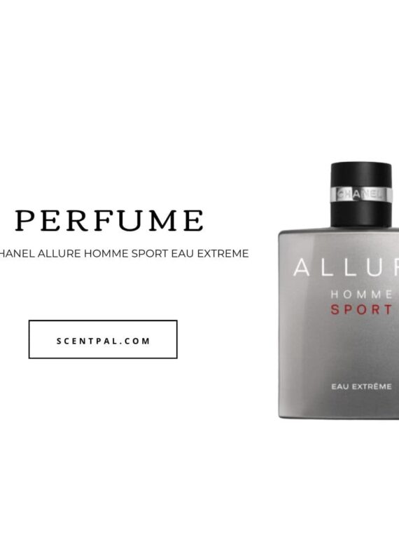 Allure Homme Sport Eau Extrême - Men - Fragrance
