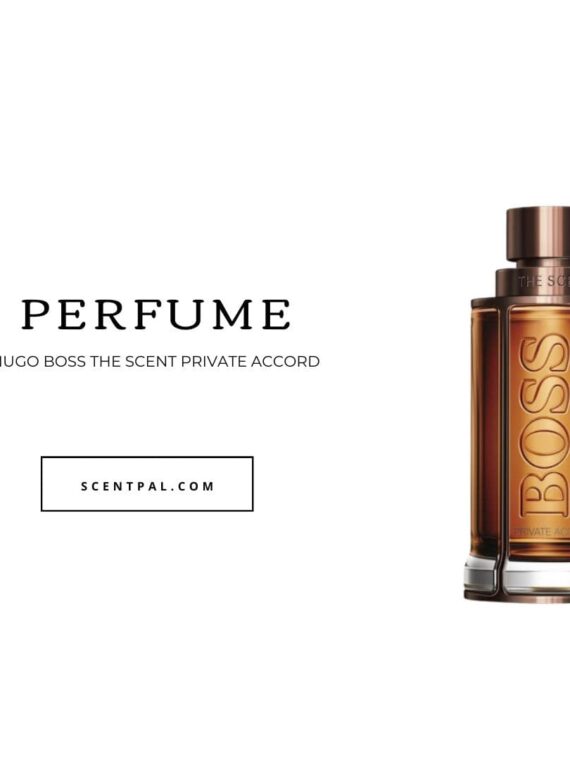 The scent hugo outlet boss private accord